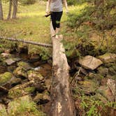 Review photo of Bighorn National Forest by meghan G., July 13, 2021