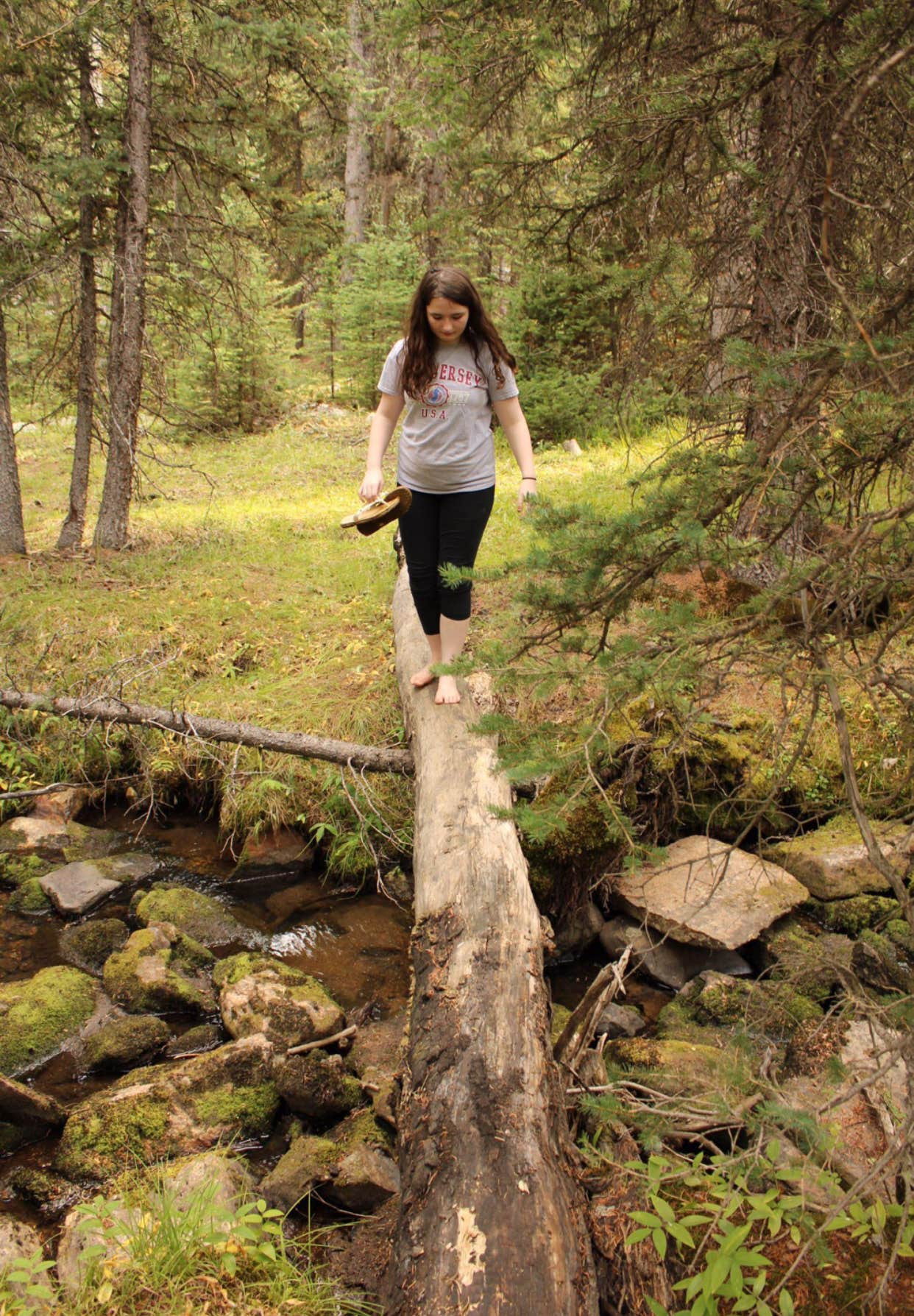 Camper submitted image from Bighorn National Forest - 3