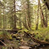 Review photo of Bighorn National Forest by meghan G., July 13, 2021