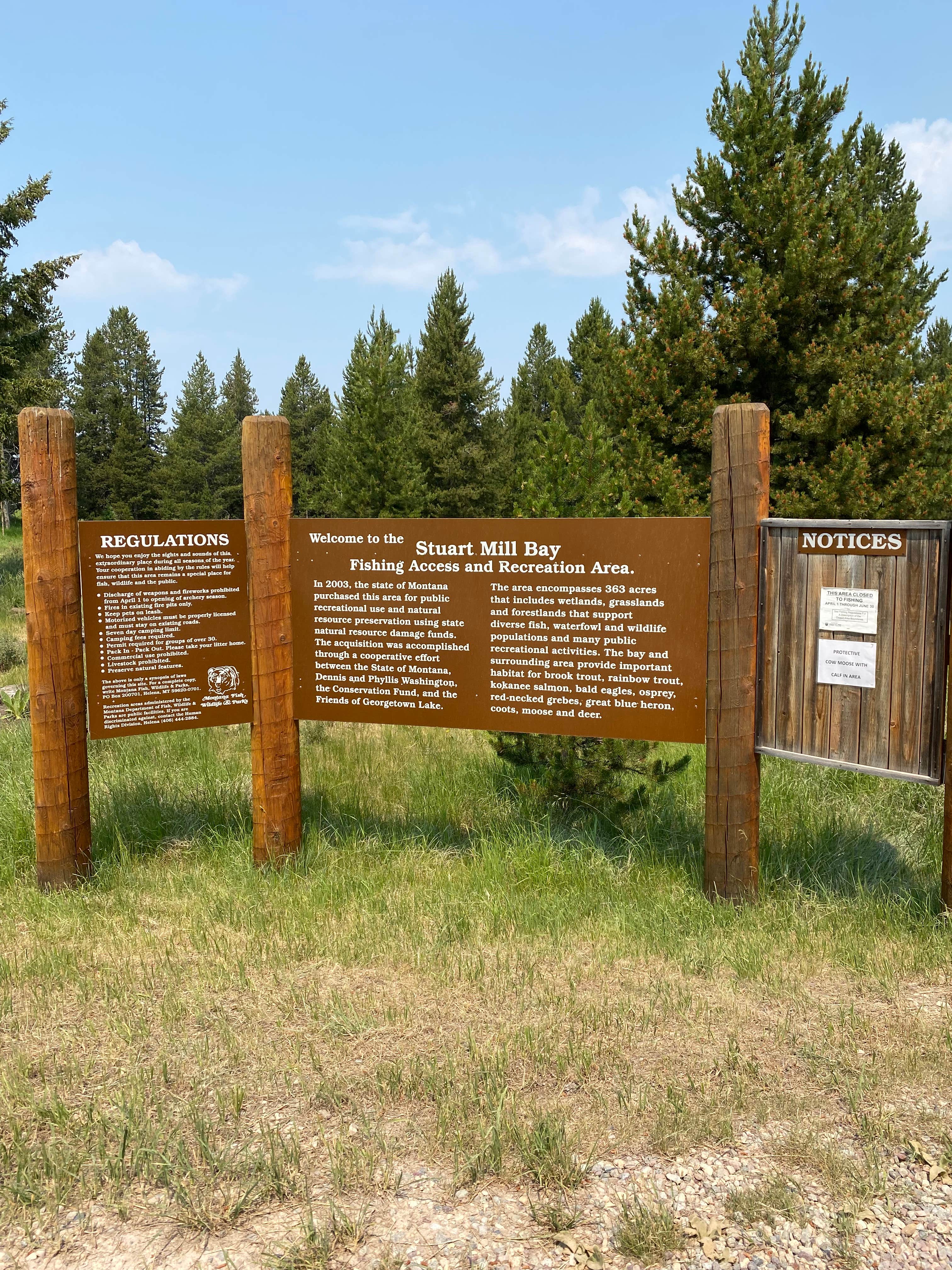 Camper-submitted photo at Stuart Mill Bay near Deer Lodge, MT