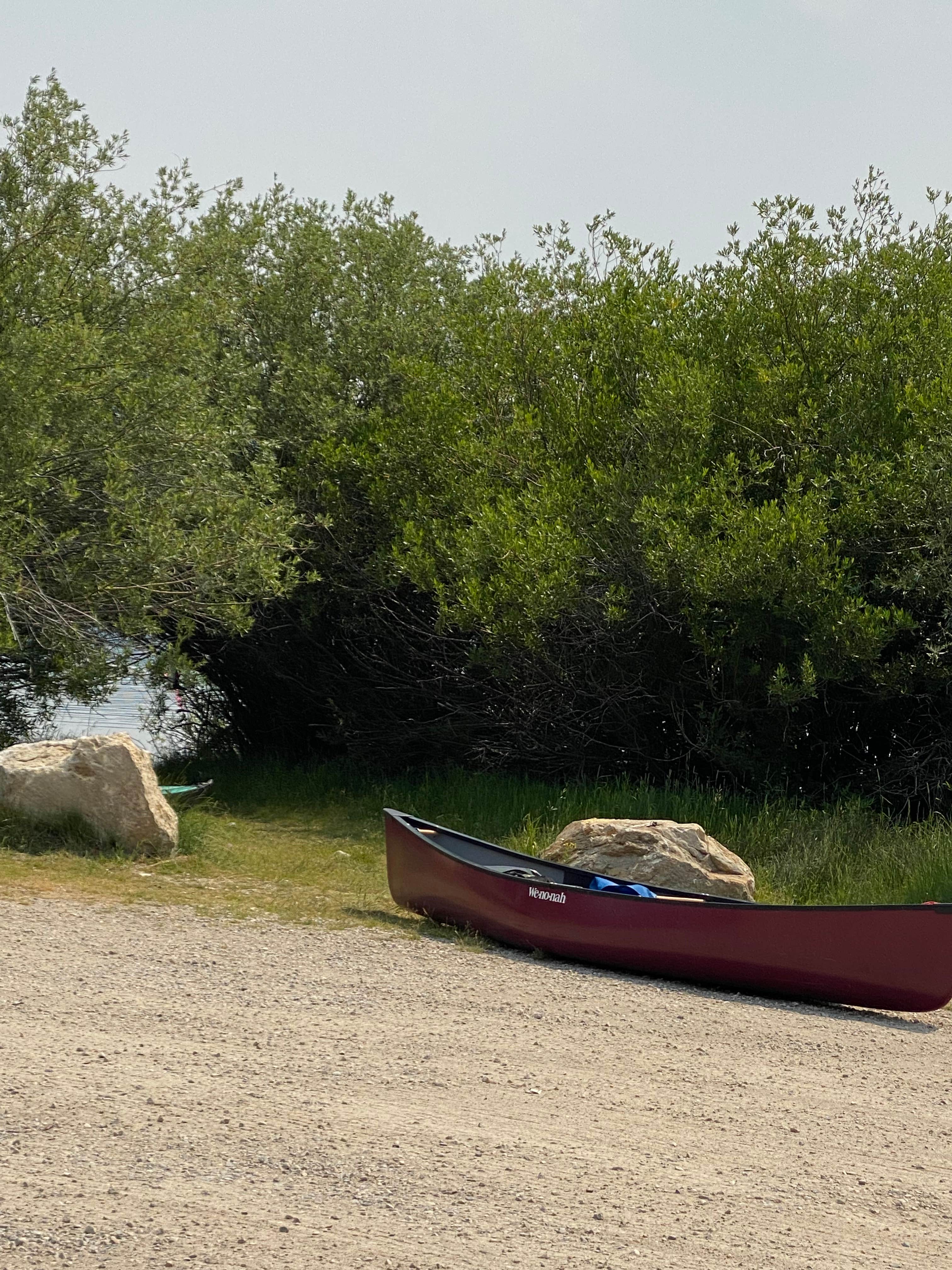 Camper submitted image from Stuart Mill Bay - 5