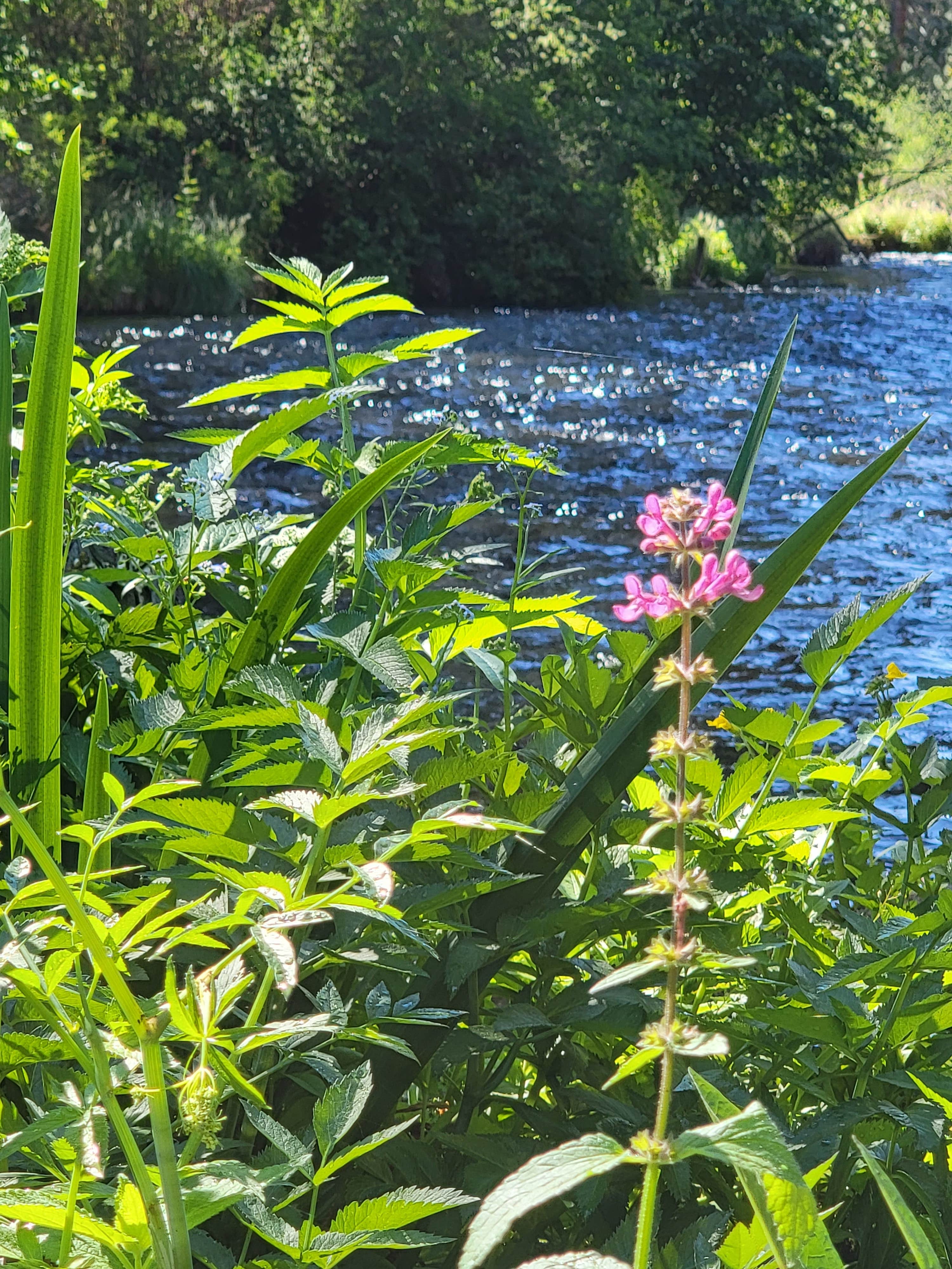 Camp Sherman Campground The Dyrt