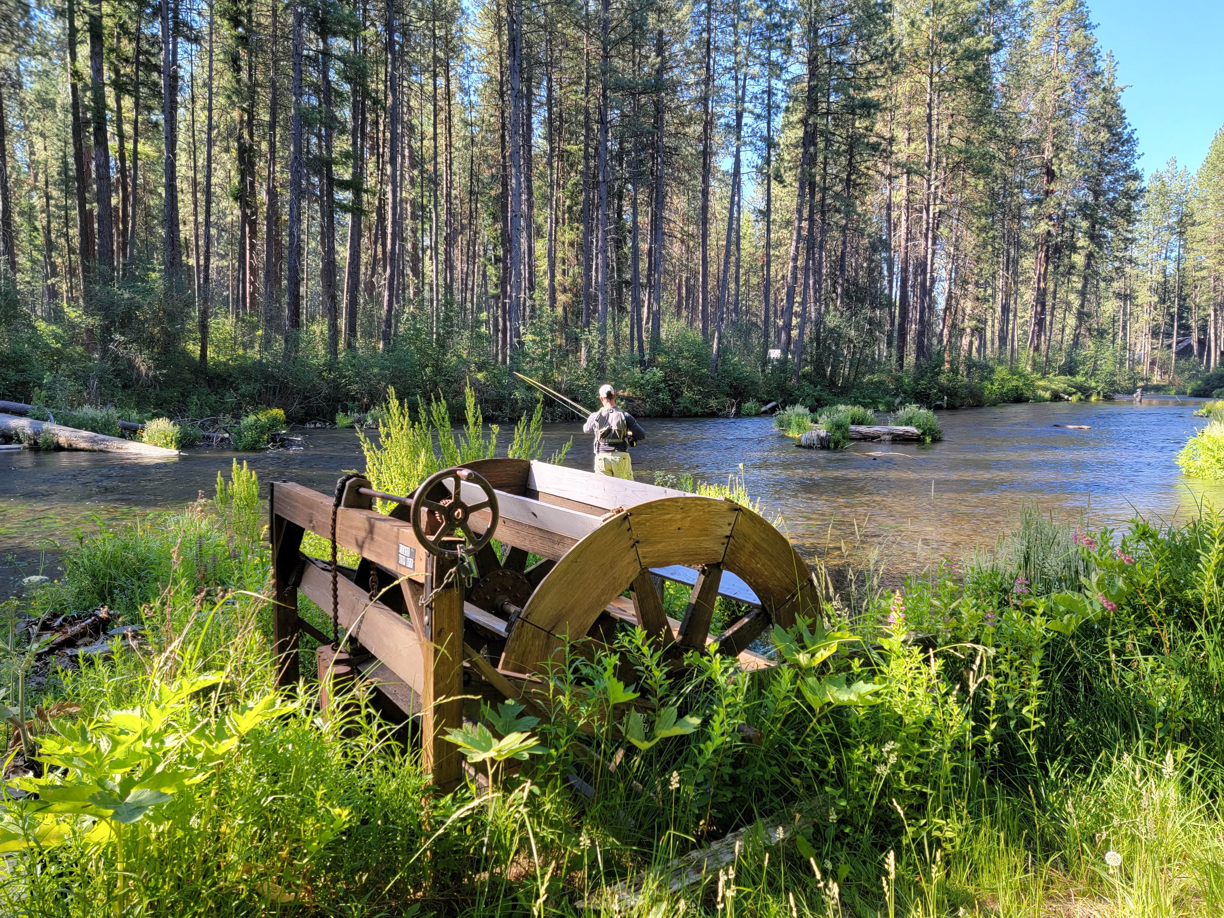 Camp Sherman Campground The Dyrt