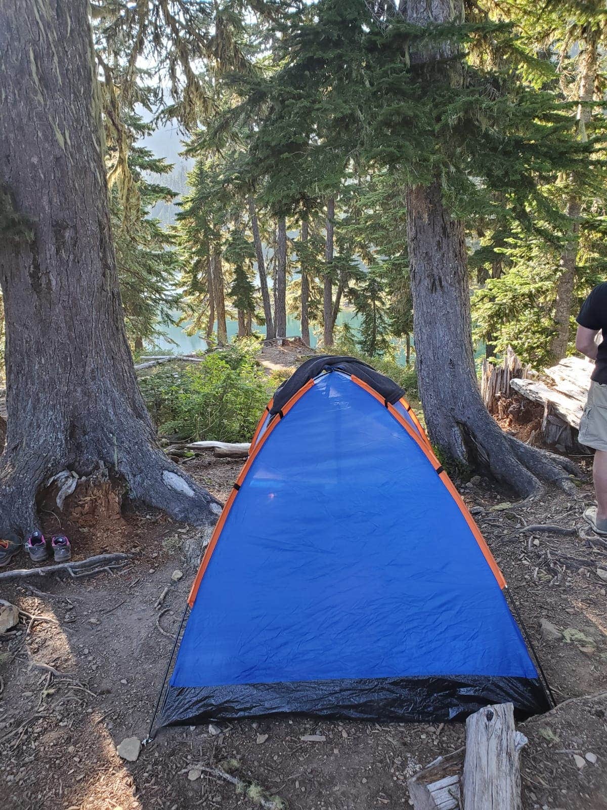 Paula G.'s photo of tent camping at Upper Lena Lake — Olympic National Park near Wauna, WA