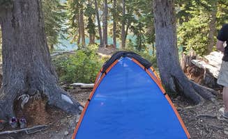 Paula G.'s photo of tent camping at Upper Lena Lake — Olympic National Park near Edmonds, WA
