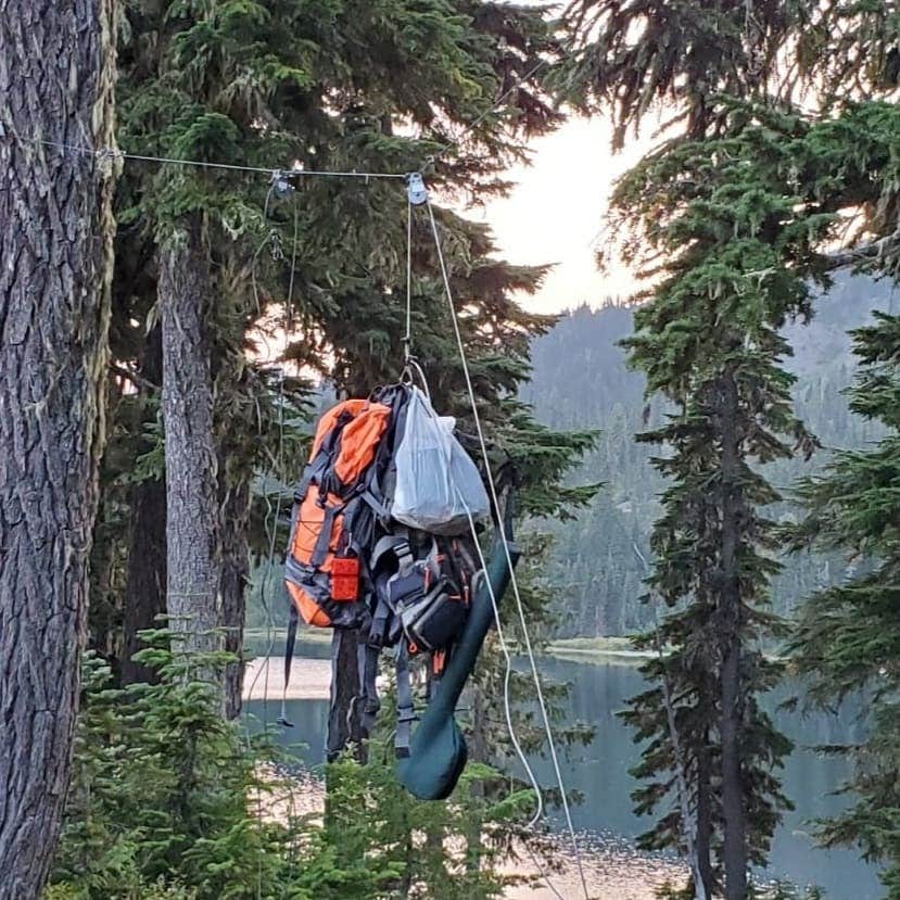 Camper submitted image from Upper Lena Lake — Olympic National Park - 4