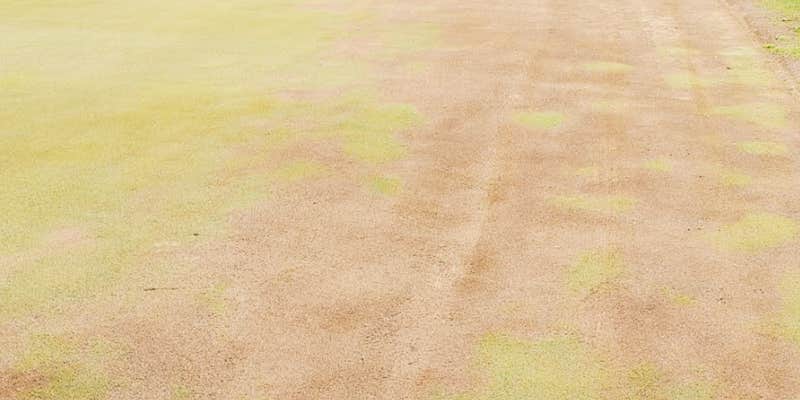 Camper submitted image from Hickory Ridge Golf & RV Resort