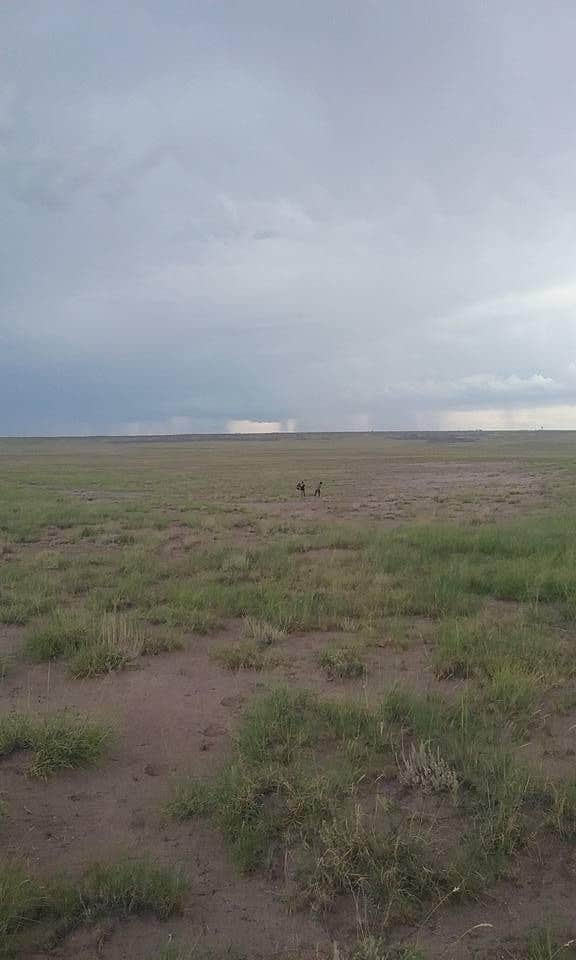 Camper-submitted photo at JoeStar Ranch Under Milky Way near Holbrook, AZ