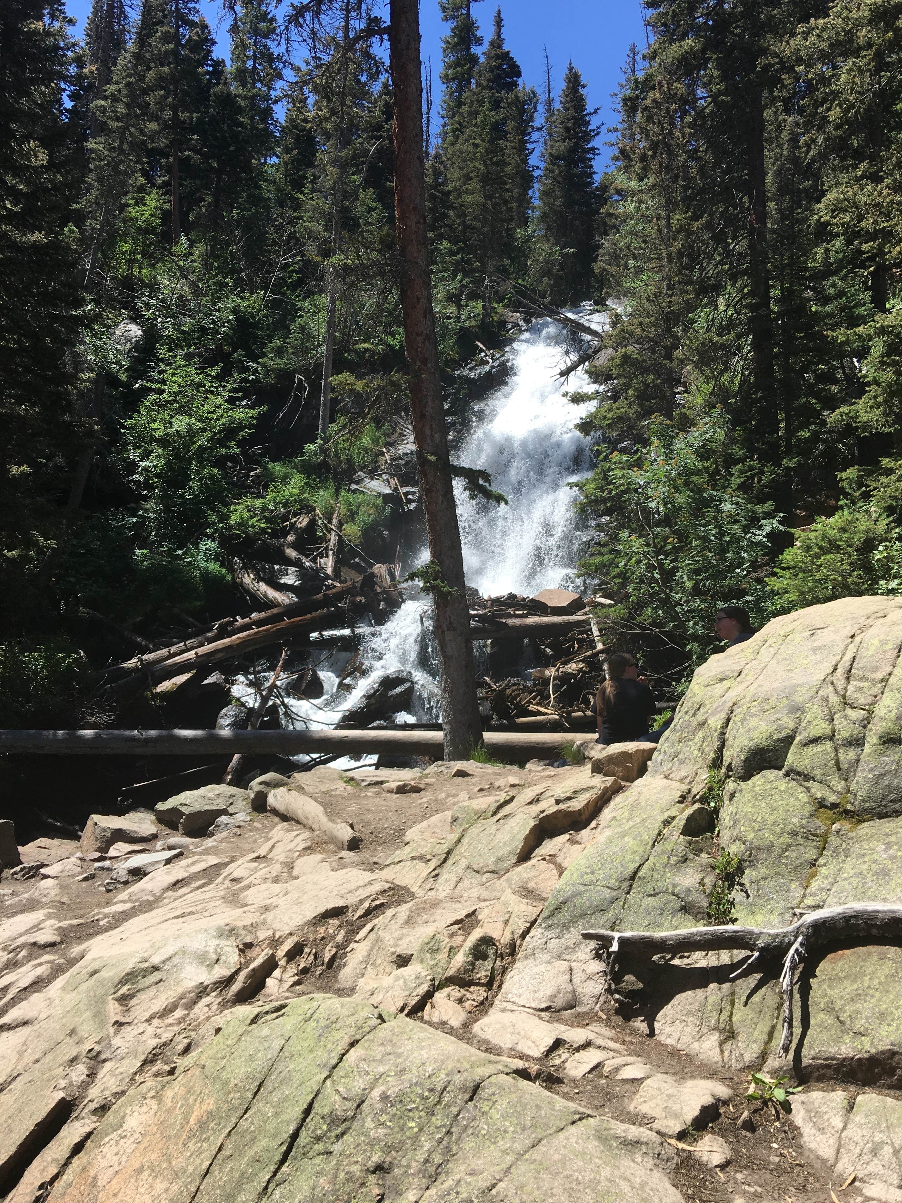 Camper submitted image from Moraine Park Campground — Rocky Mountain National Park - 4