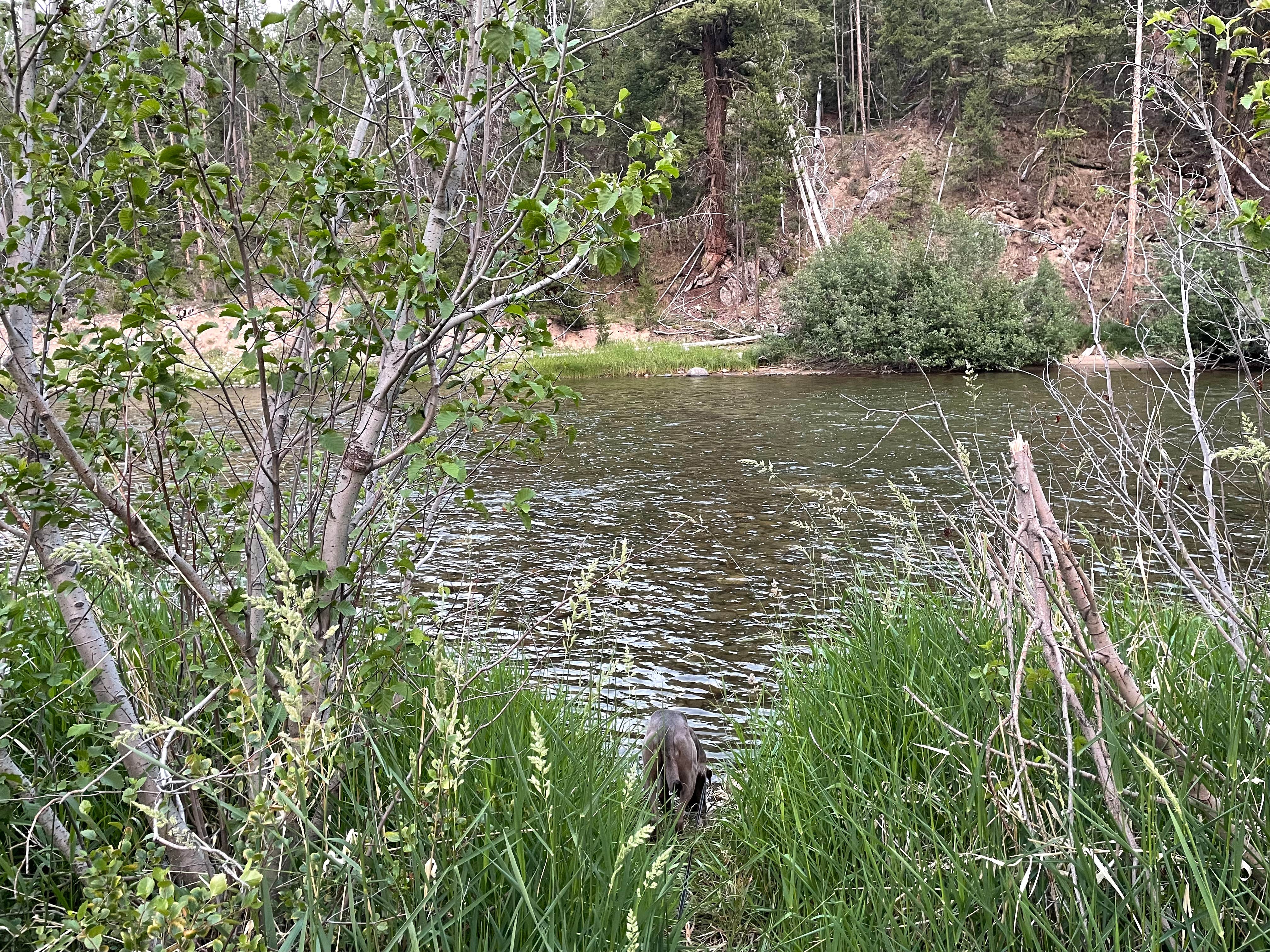 Camper-submitted photo at Riverside near Clayton, ID