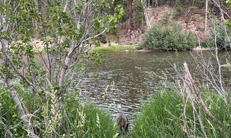 Camping near Boiling Springs Campground: Riverside, Lowman, Idaho