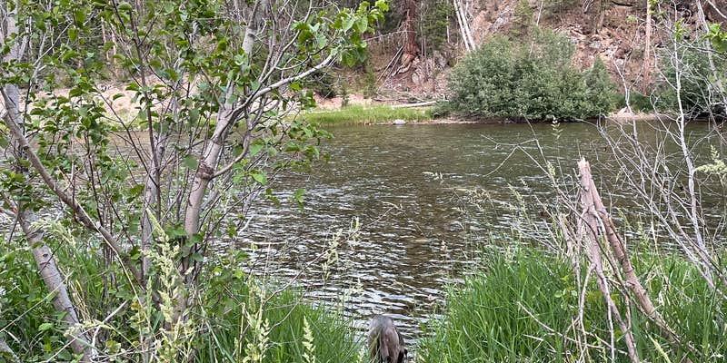 Camper submitted image from Riverside