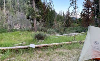 Callie B.'s photo at Riverside near Salmon-Challis National Forest