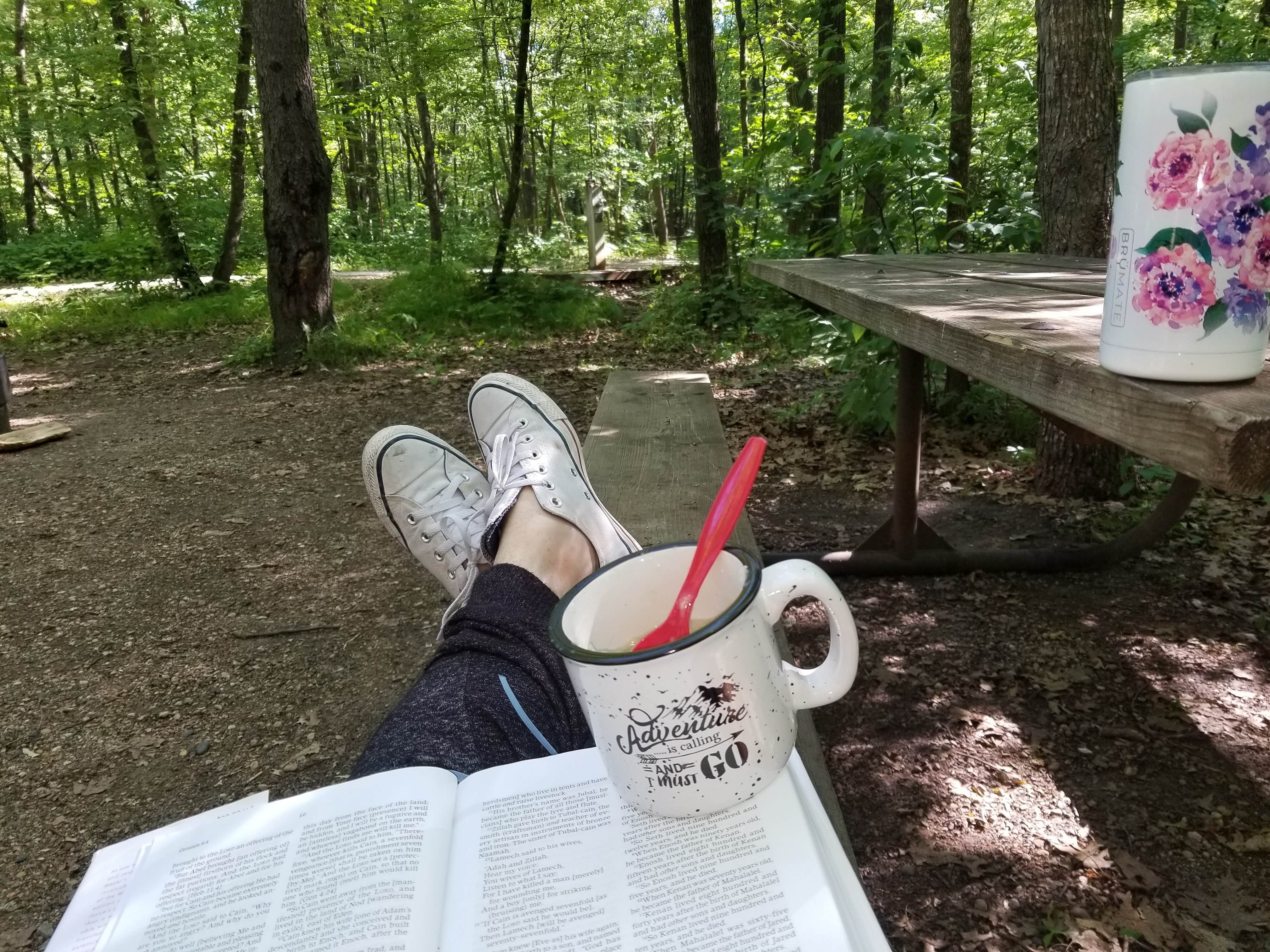 Amber G.'s photo at Lake Carlos State Park Campground near Dent, MN