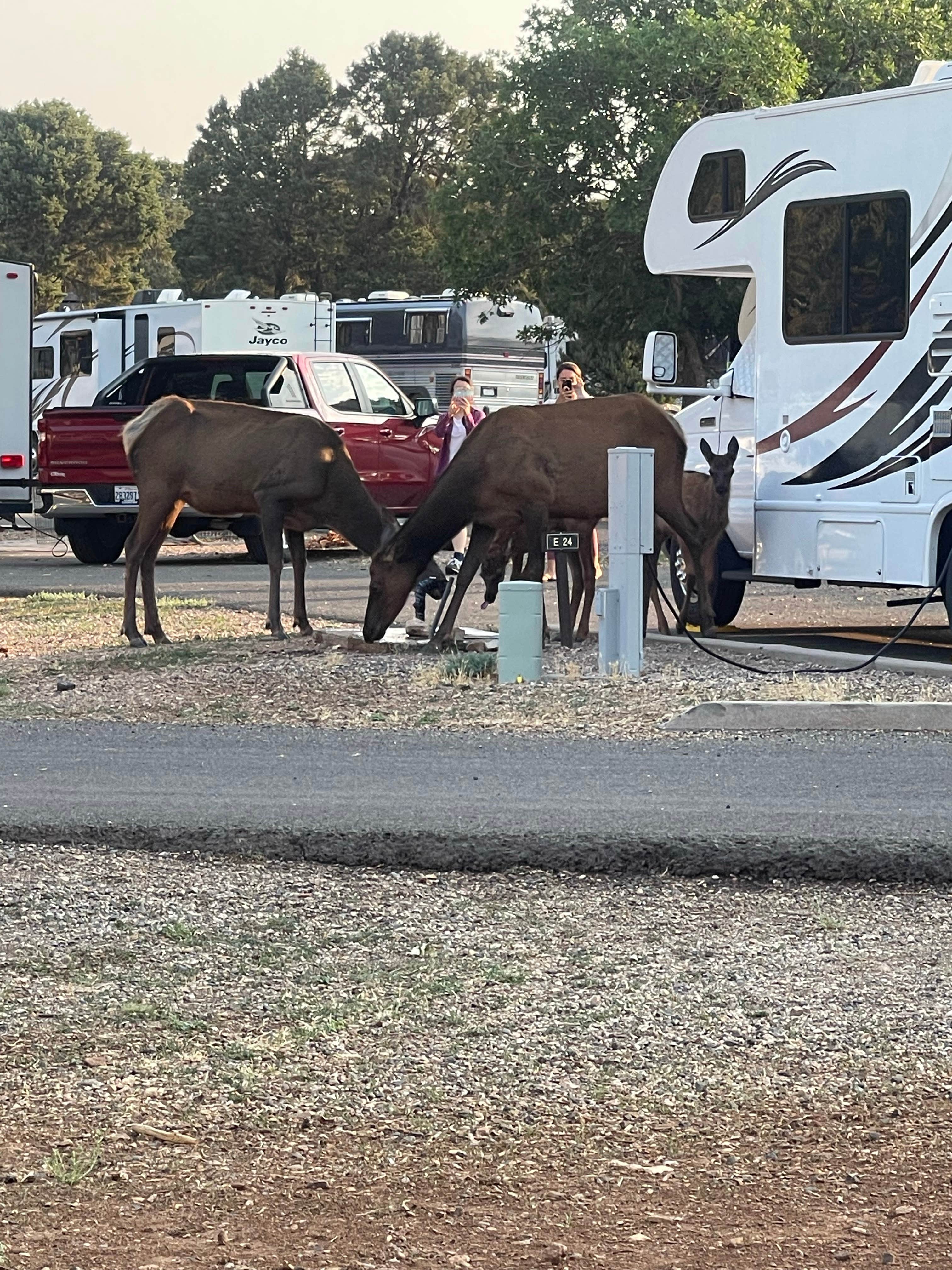Best rv camping in Grand Canyon National Park The Dyrt