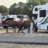 Review photo of Trailer Village RV Park — Grand Canyon National Park by Hope S., July 14, 2021