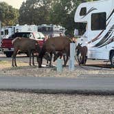 Review photo of Trailer Village RV Park — Grand Canyon National Park by Hope S., July 14, 2021