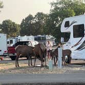 Review photo of Trailer Village RV Park — Grand Canyon National Park by Hope S., July 14, 2021