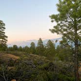 Review photo of Tom Best Spring Road FR117 Dispersed - Dixie National Forest by Danielle , July 14, 2021