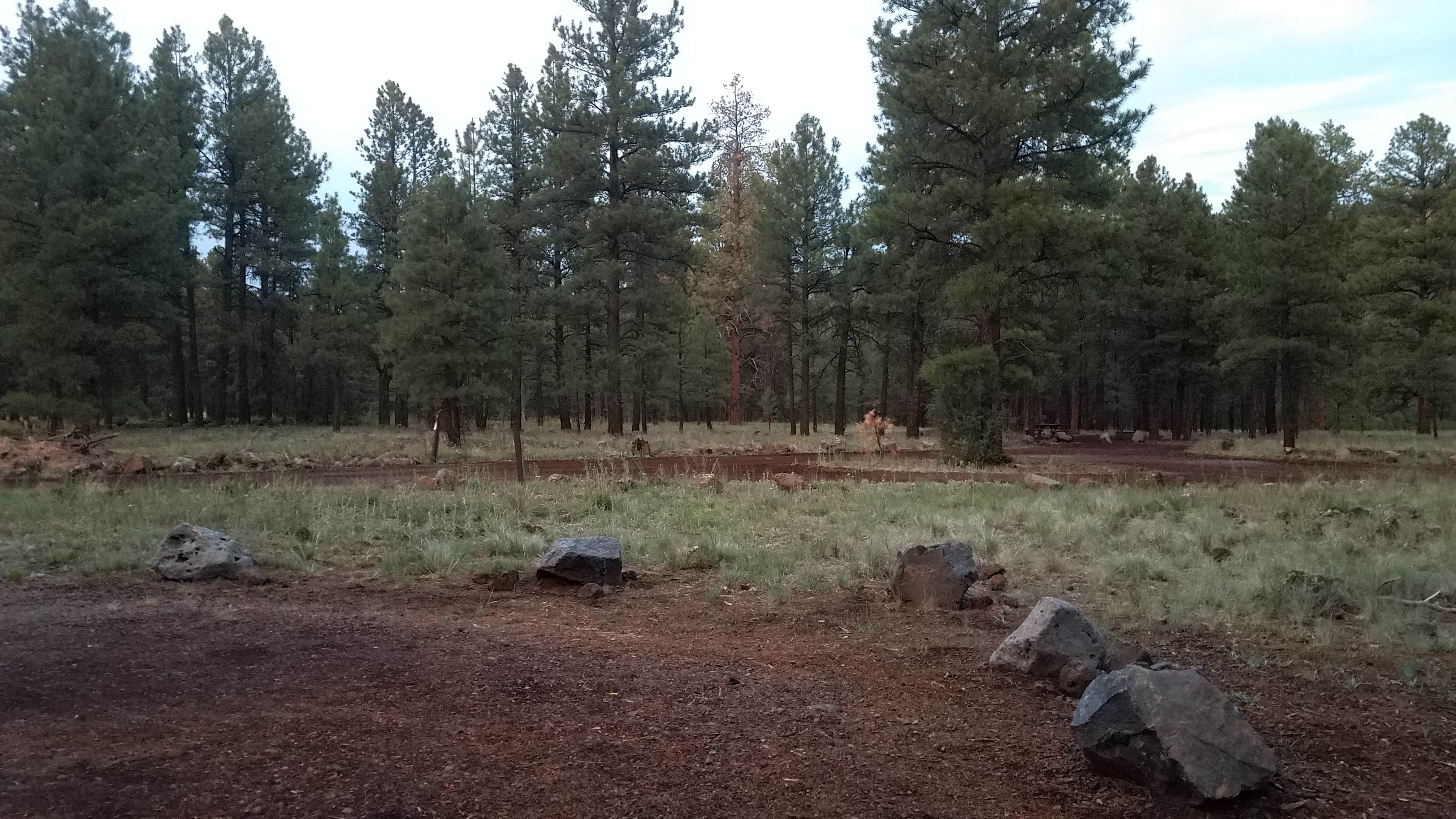 Camper submitted image from Canyon Vista Campground - 2