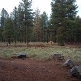 Review photo of Canyon Vista Campground by Chantal  S., July 14, 2021