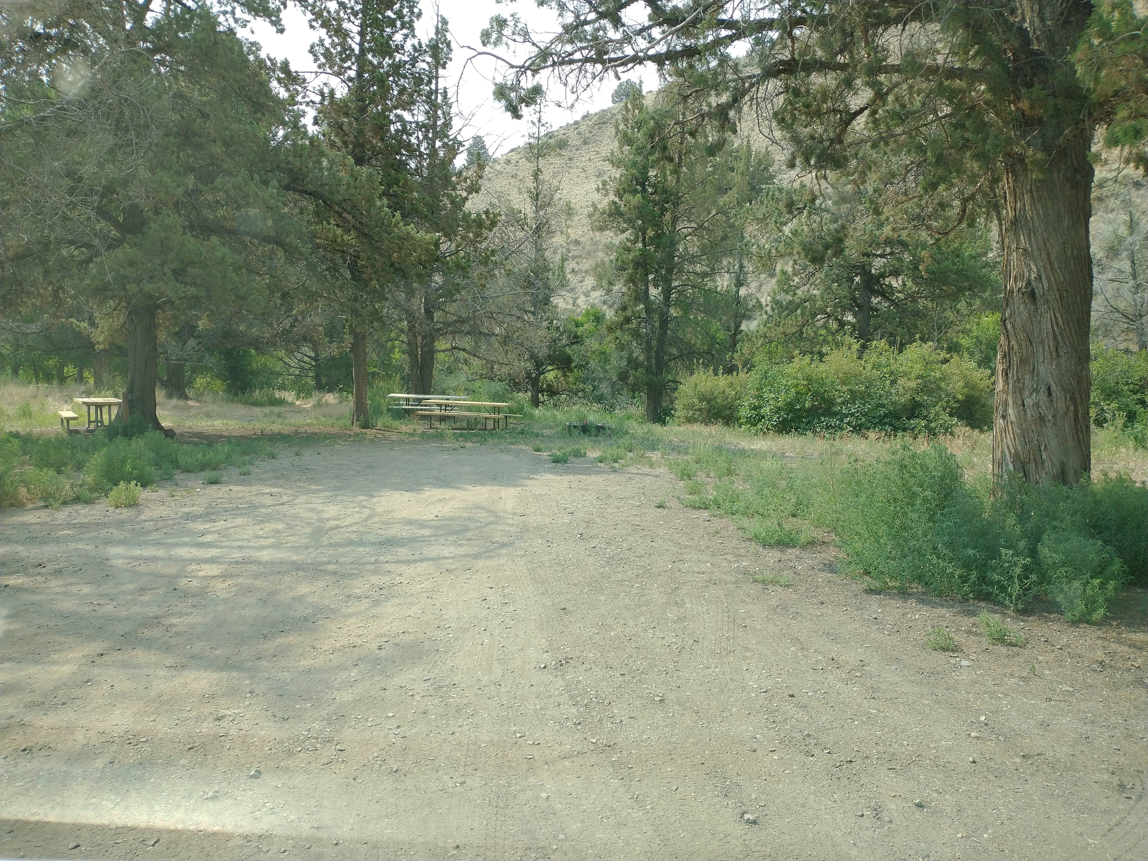 Camper submitted image from Chukar Park Campground - 3