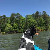 Review photo of J.P. Coleman State Park Campground by Madeline A., June 14, 2018