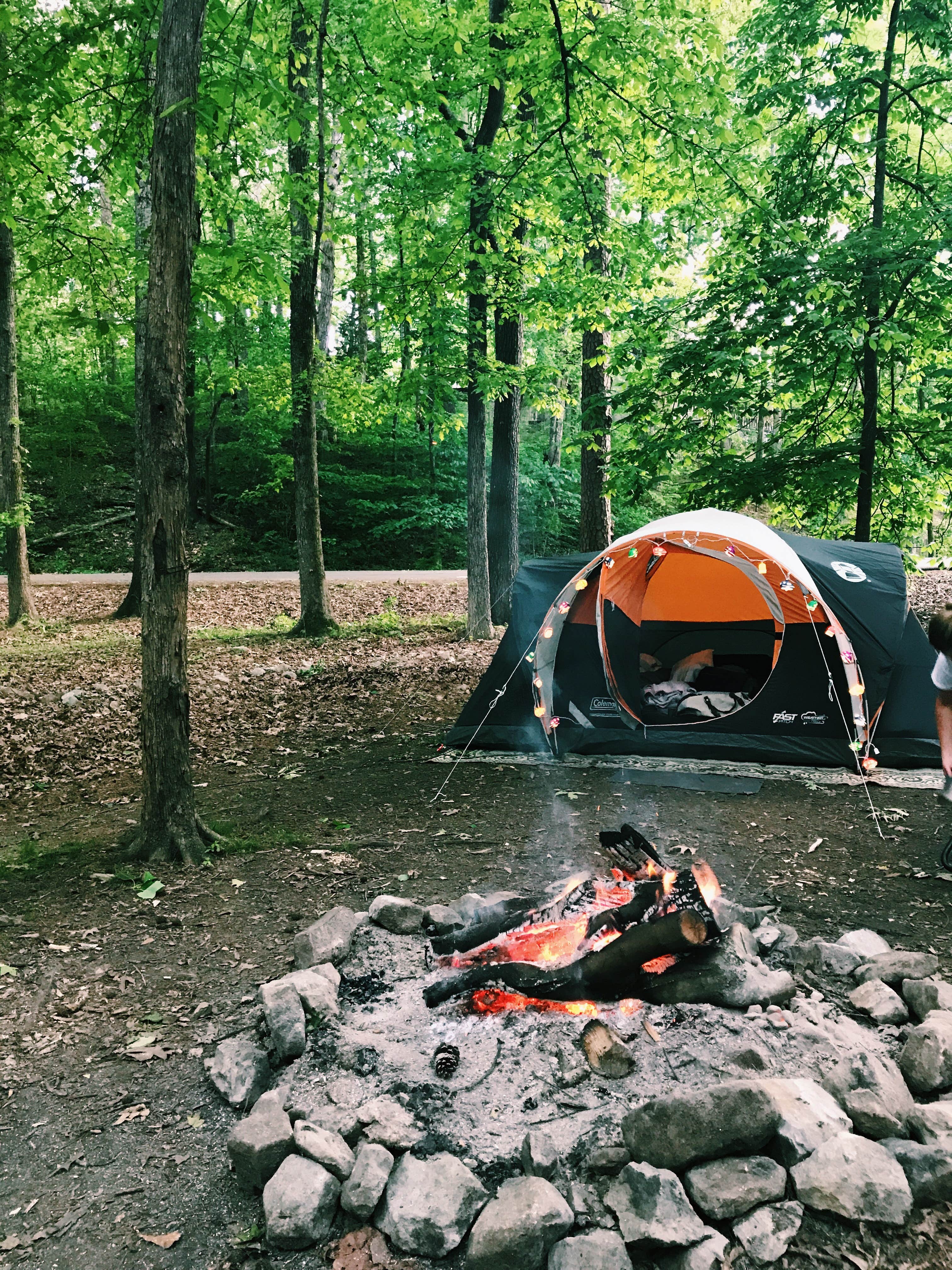 Camper submitted image from J.P. Coleman State Park Campground - 3