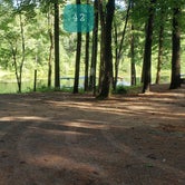 Review photo of Forest Lake Campgrounds by Jean C., July 14, 2021