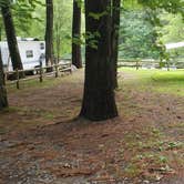 Review photo of Forest Lake Campgrounds by Jean C., July 14, 2021