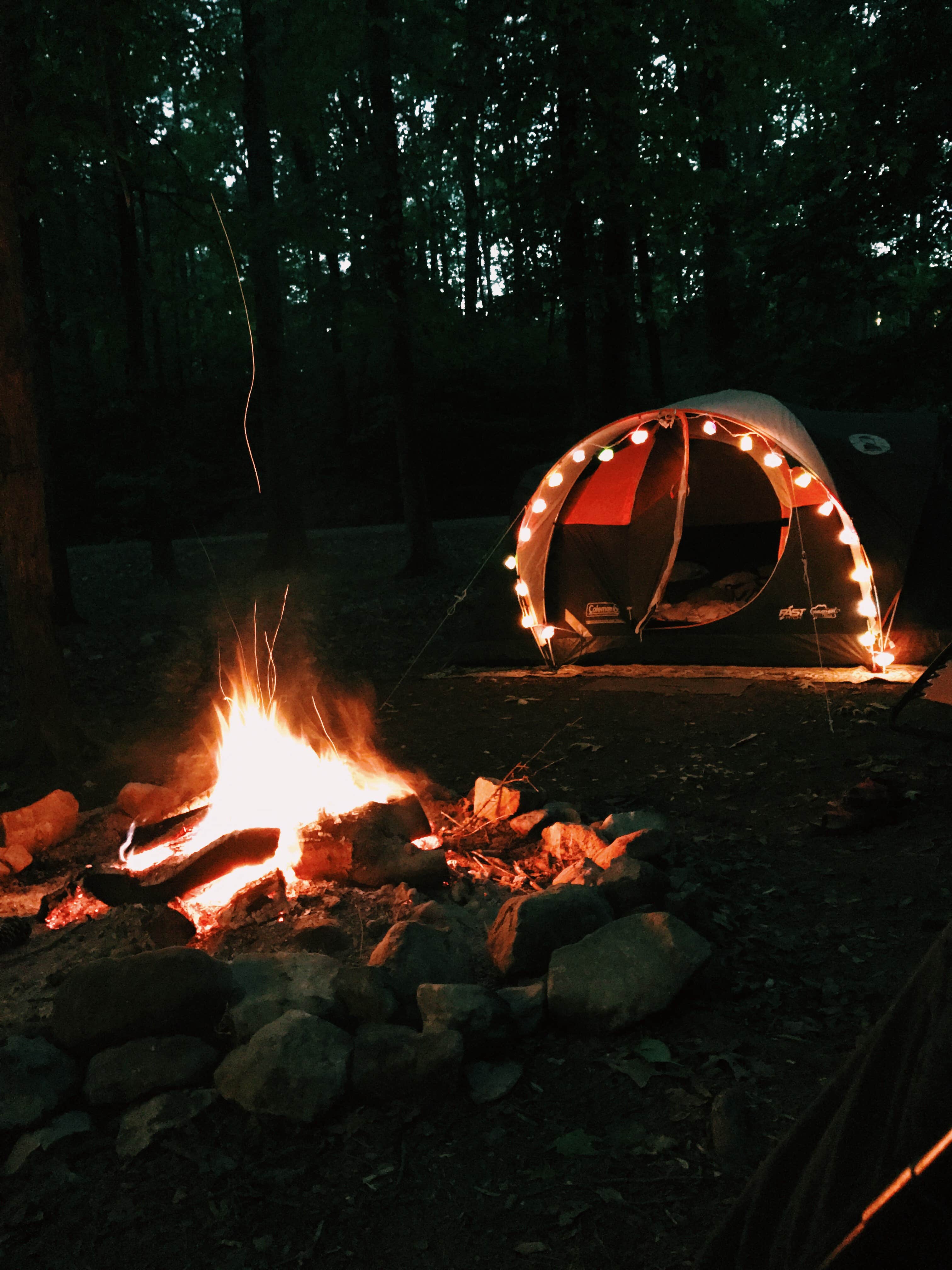 Madeline A.'s photo at J.P. Coleman State Park Campground near Savannah, TN
