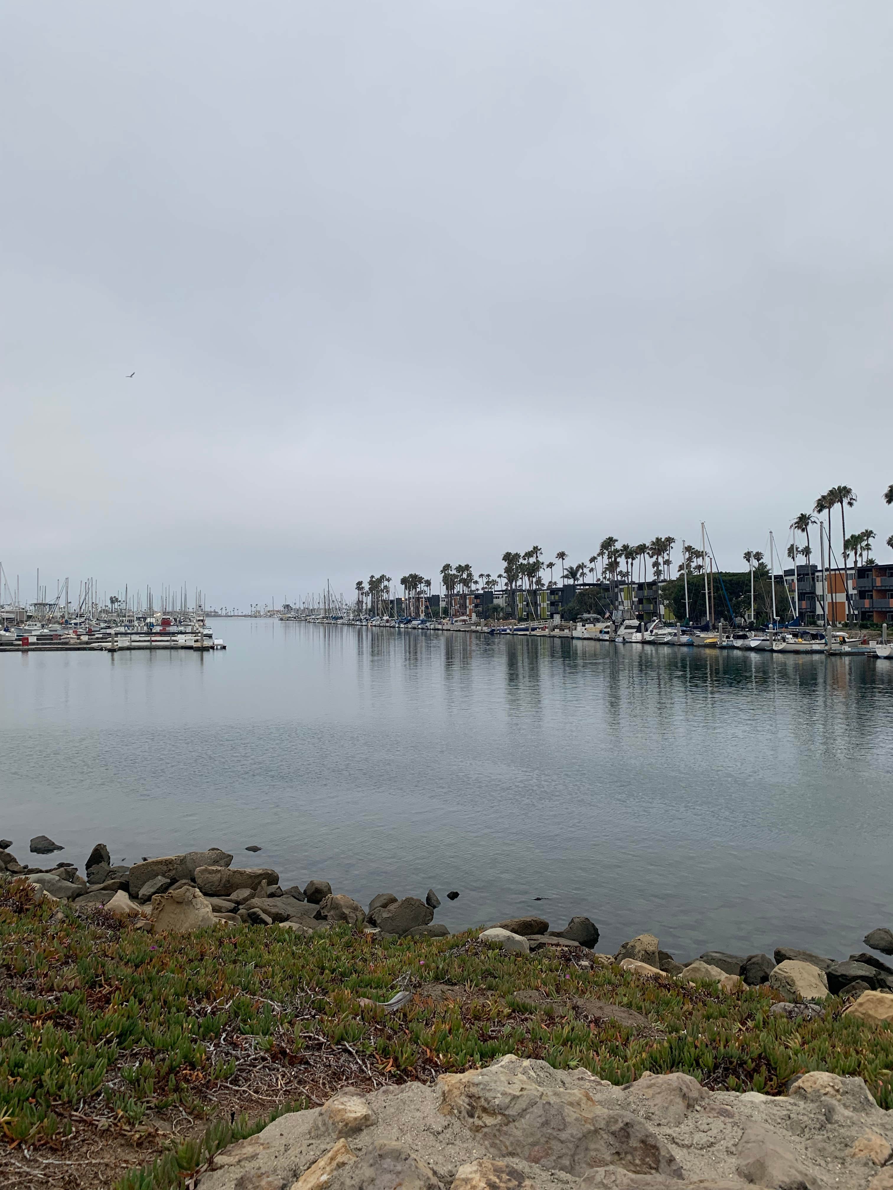 Camper submitted image from Channel Islands Harbor Launch Ramp - 3