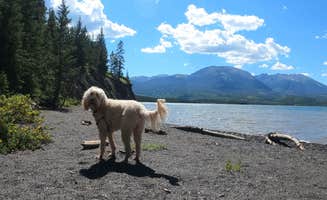 Rebeca H.'s photo of camping with pets at Prospector Campground near Copper Mountain, CO