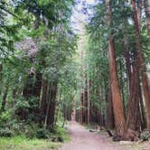 Review photo of San Mateo Memorial Park by Andy L., July 14, 2021