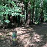 Review photo of San Mateo Memorial Park by Andy L., July 14, 2021