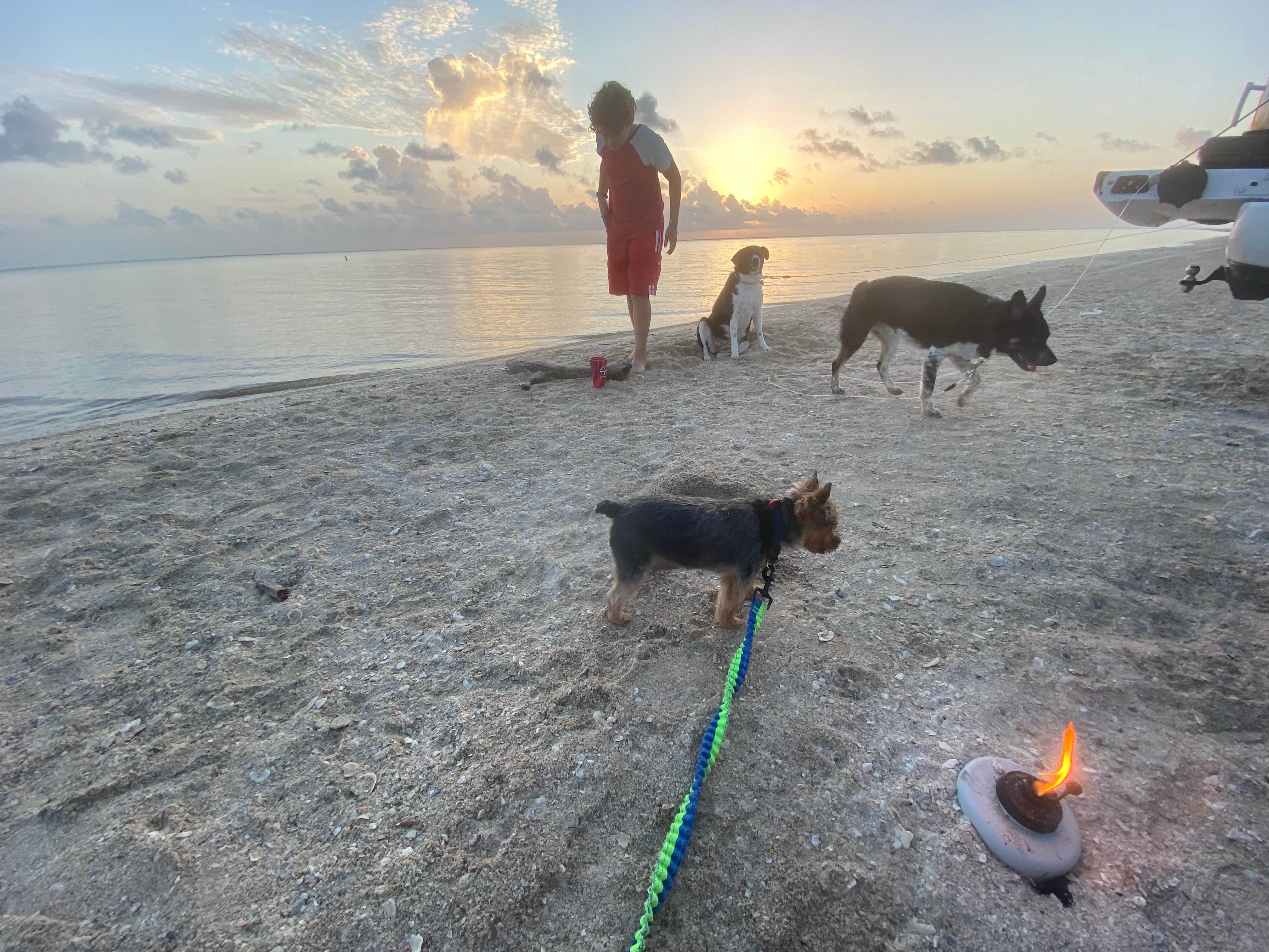 Kassy B.'s photo of camping with pets at Magnolia Beach near Edna, TX