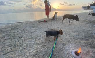 Kassy B.'s photo of camping with pets at Magnolia Beach near Fannin, TX