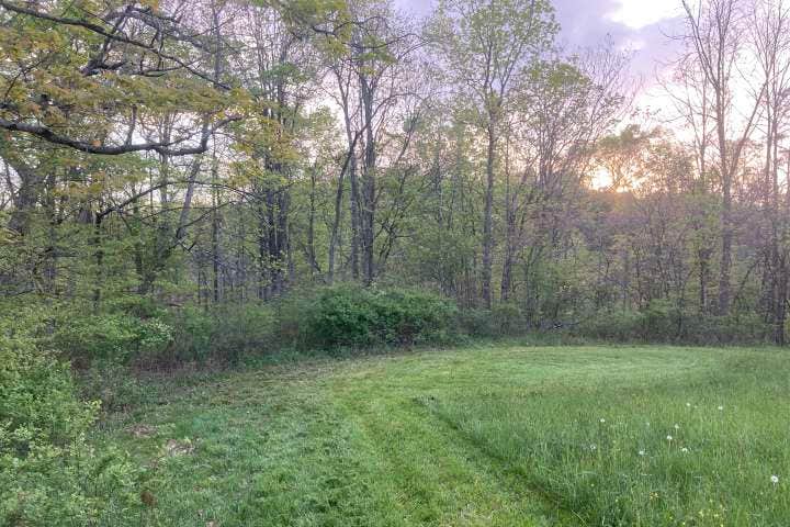 Camper-submitted photo at Long Acres on Clover Creek near Saxton, PA