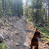 Review photo of Tabor Campground by Dave D., July 14, 2021