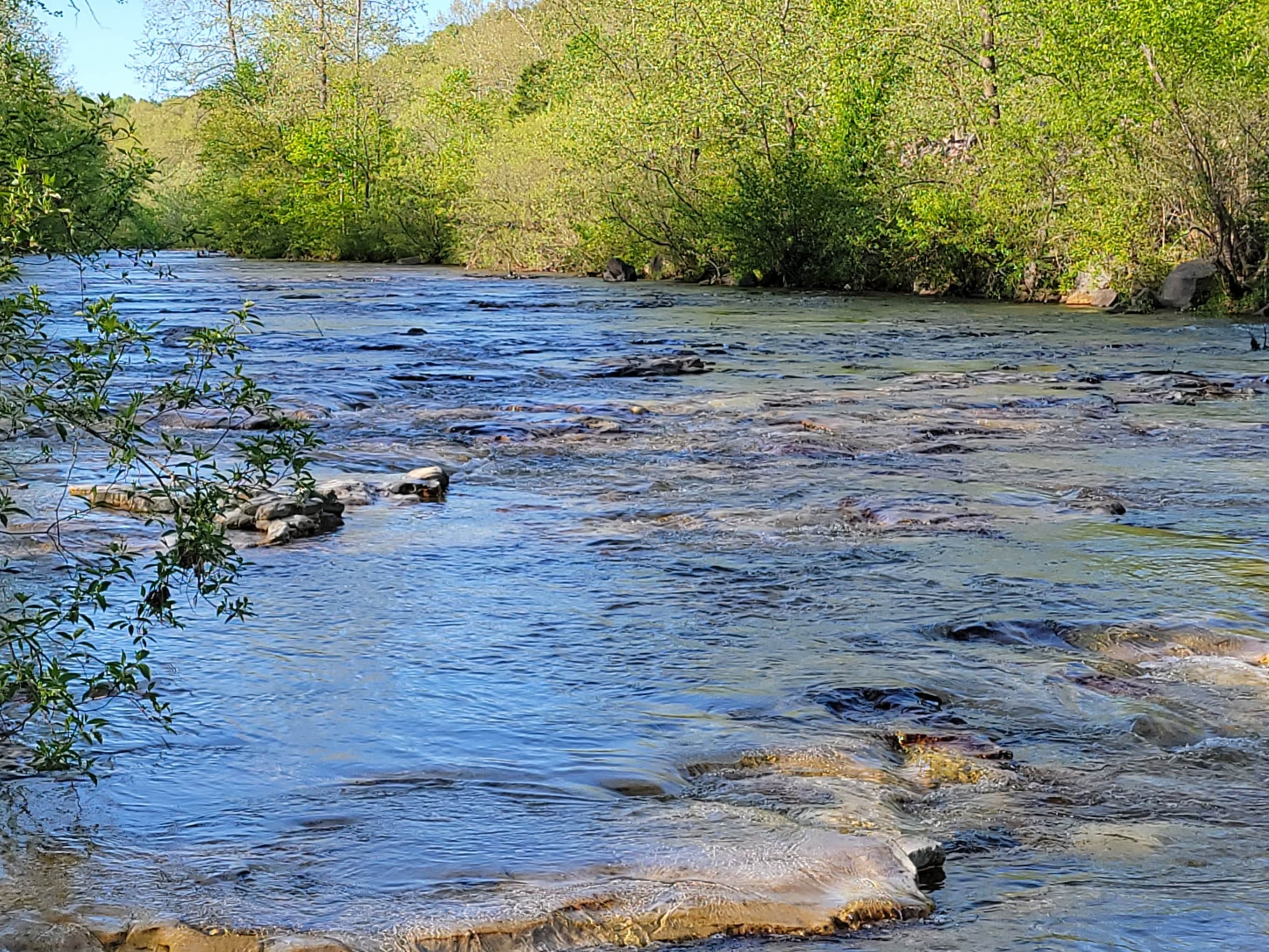 Camper-submitted photo at Big Creek RV Park near Ellington, MO