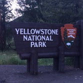Review photo of Bridge Bay Campground — Yellowstone National Park by Jennifer P., June 14, 2018