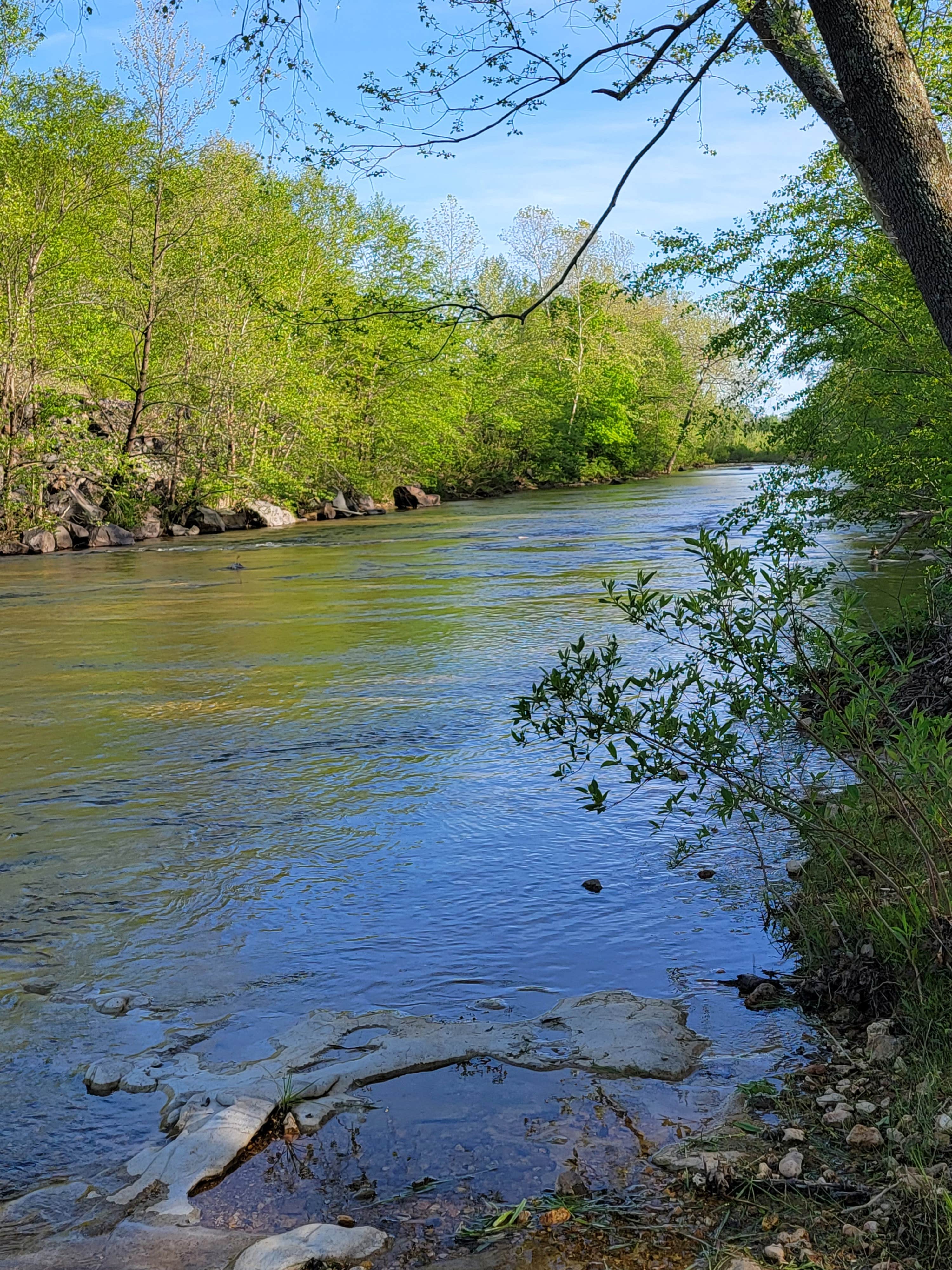 Camper-submitted photo at Big Creek RV Park near Ellington, MO