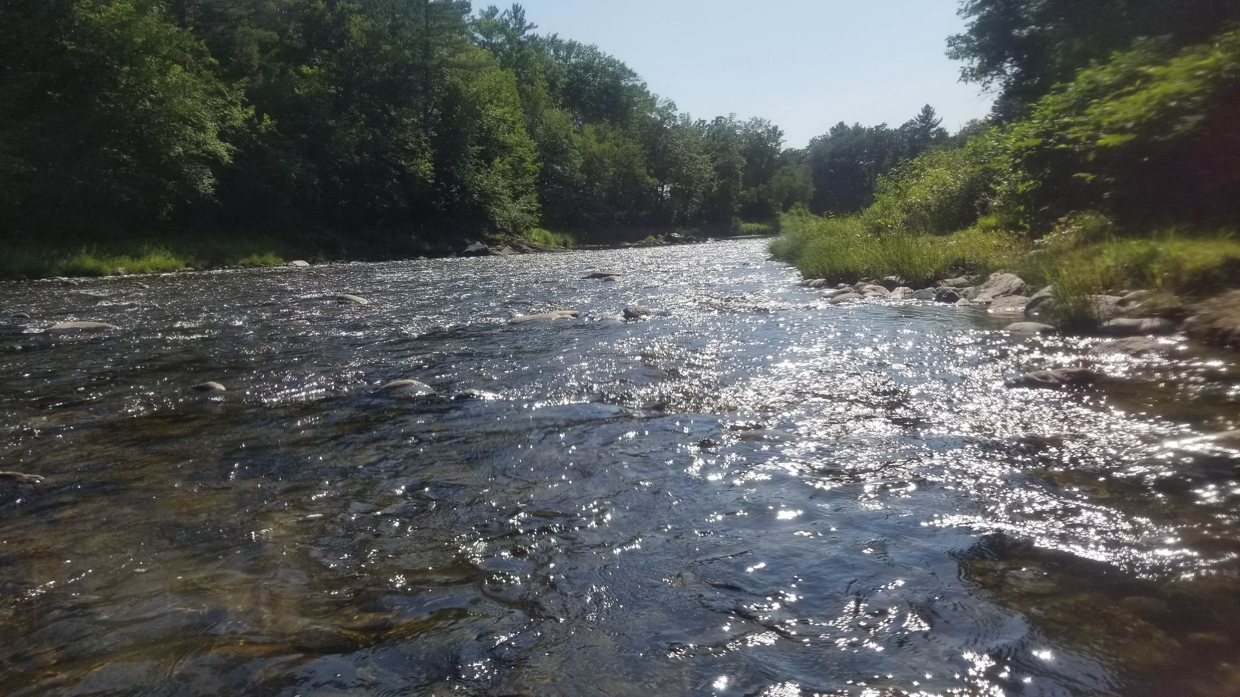 Camper submitted image from Littleton / Franconia Notch KOA Holiday - 5