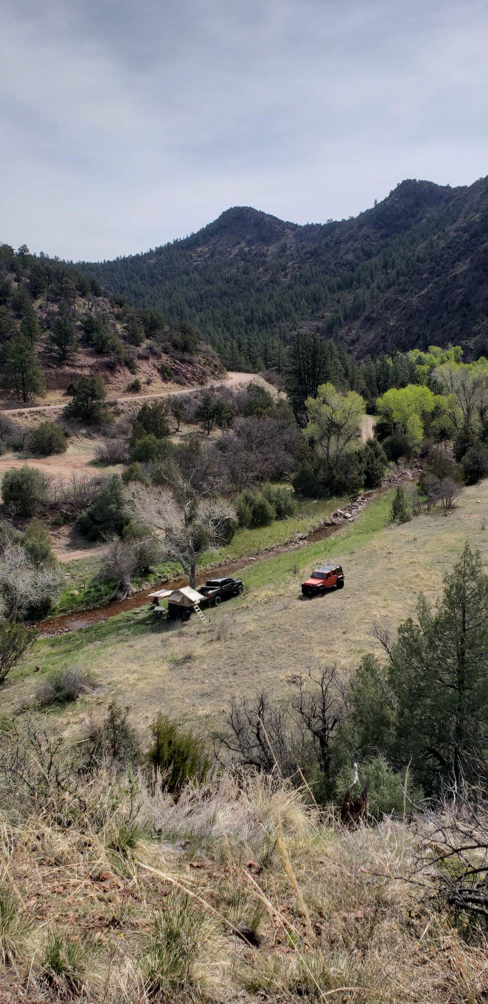 Camper-submitted photo at Phantom Canyon Road BLM Sites near Howard, CO