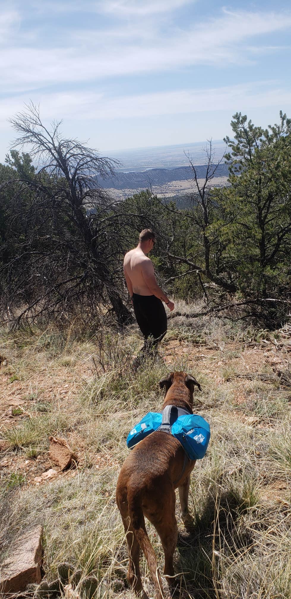 Camper-submitted photo at Phantom Canyon Road BLM Sites near Howard, CO