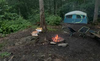 Samantha S.'s photo at Clarence Fahnestock State Park Campground near Bedford, NY
