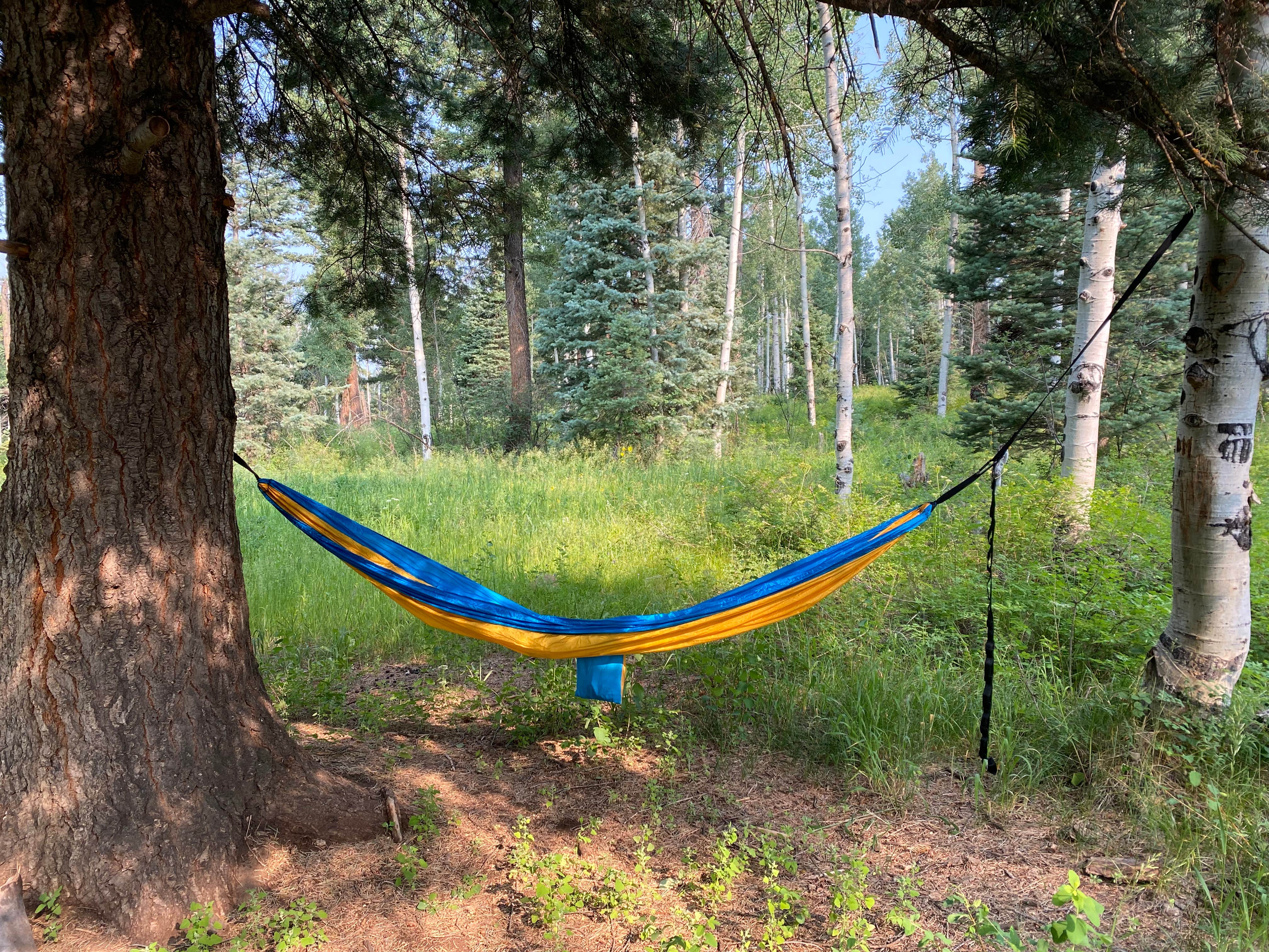 Camper-submitted photo at FS Road 662 campsite near Pagosa Springs, CO