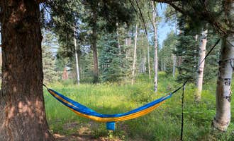Camping near Bruce Spruce Ranch: FS Road 662 campsite, Pagosa Springs, Colorado