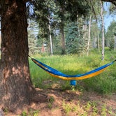 Review photo of FS Road 662 campsite by Austin S., July 14, 2021