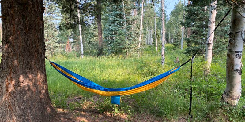 Camper submitted image from FS Road 662 campsite